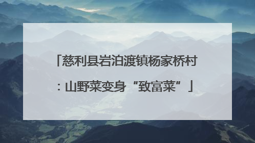 慈利县岩泊渡镇杨家桥村：山野菜变身“致富菜”