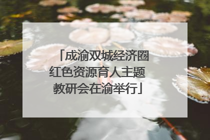 成渝双城经济圈红色资源育人主题教研会在渝举行