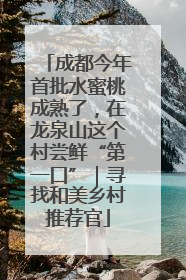成都今年首批水蜜桃成熟了，在龙泉山这个村尝鲜“第一口”｜寻找和美乡村推荐官