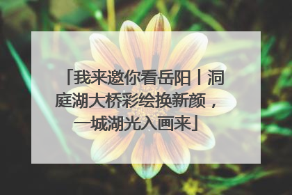 我来邀你看岳阳丨洞庭湖大桥彩绘换新颜，一城湖光入画来