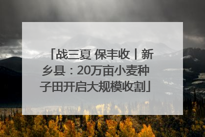 战三夏 保丰收丨新乡县：20万亩小麦种子田开启大规模收割