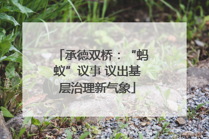 承德双桥：“蚂蚁”议事 议出基层治理新气象