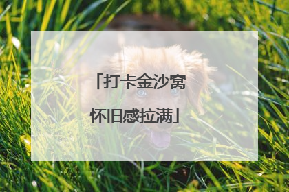 打卡金沙窝 怀旧感拉满