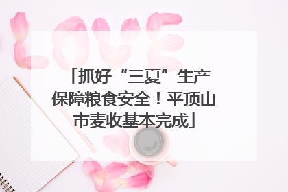 抓好“三夏”生产 保障粮食安全！平顶山市麦收基本完成