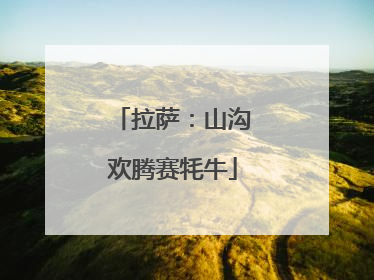 拉萨：山沟欢腾赛牦牛