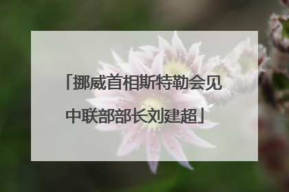 挪威首相斯特勒会见中联部部长刘建超