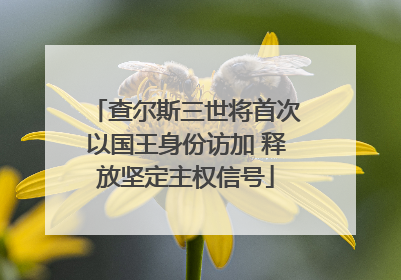 查尔斯三世将首次以国王身份访加 释放坚定主权信号