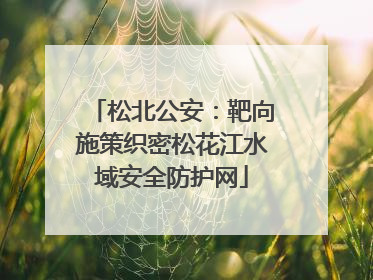 松北公安：靶向施策织密松花江水域安全防护网