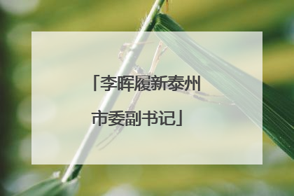 李晖履新泰州市委副书记