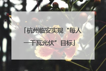 杭州临安实现“每人一千瓦光伏”目标