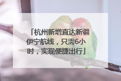 杭州新增直达新疆伊宁航线，只需6小时，实现便捷出行