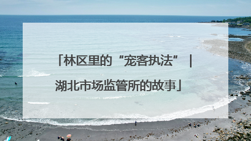 林区里的“宠客执法”｜湖北市场监管所的故事