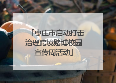 枣庄市启动打击治理跨境赌博校园宣传周活动