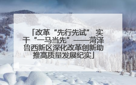 改革“先行先试” 实干“一马当先”——菏泽鲁西新区深化改革创新助推高质量发展纪实