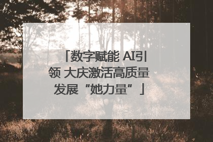 数字赋能 AI引领 大庆激活高质量发展“她力量”