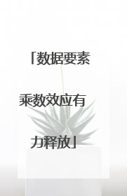 数据要素乘数效应有力释放