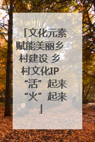 文化元素赋能美丽乡村建设 乡村文化IP“活”起来“火”起来