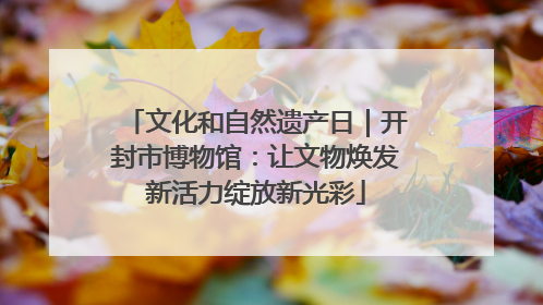 文化和自然遗产日｜开封市博物馆：让文物焕发新活力绽放新光彩