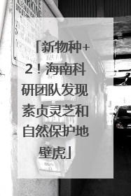 新物种+2！海南科研团队发现素贞灵芝和自然保护地壁虎