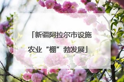 新疆阿拉尔市设施农业“棚”勃发展