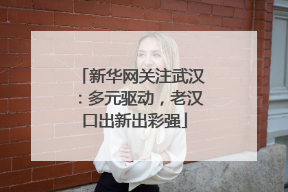 新华网关注武汉：多元驱动，老汉口出新出彩强