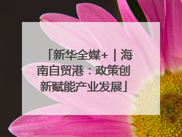 新华全媒+｜海南自贸港：政策创新赋能产业发展
