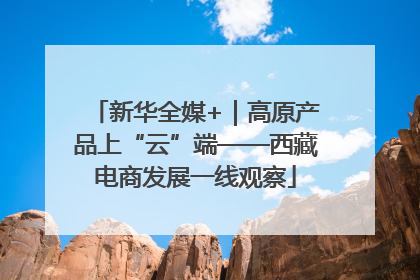 新华全媒+｜高原产品上“云”端——西藏电商发展一线观察