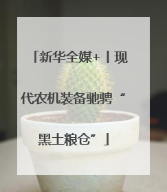新华全媒+丨现代农机装备驰骋“黑土粮仓”