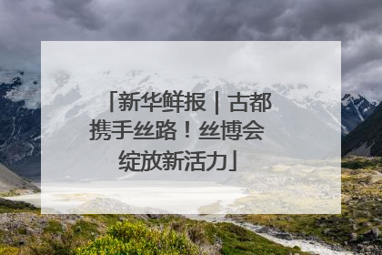 新华鲜报｜古都携手丝路！丝博会绽放新活力