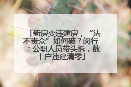 新房变违建房，“法不责众”如何破？闵行：公职人员带头拆，数十户违建清零