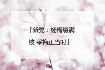 新晃：杨梅缀满枝 采梅正当时
