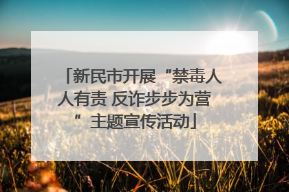新民市开展“禁毒人人有责 反诈步步为营”主题宣传活动