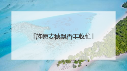 旌德麦穗飘香丰收忙