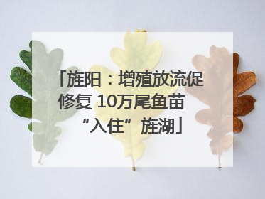 旌阳：增殖放流促修复 10万尾鱼苗“入住”旌湖