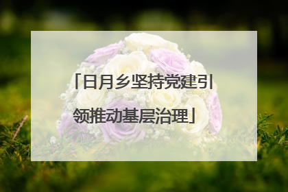 日月乡坚持党建引领推动基层治理