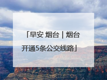 早安 烟台｜烟台开通5条公交线路