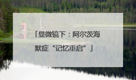 显微镜下：阿尔茨海默症“记忆重启”