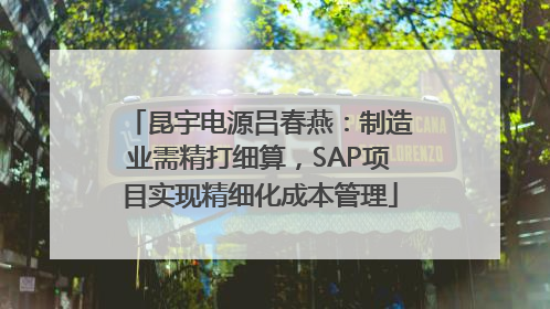 昆宇电源吕春燕：制造业需精打细算，SAP项目实现精细化成本管理