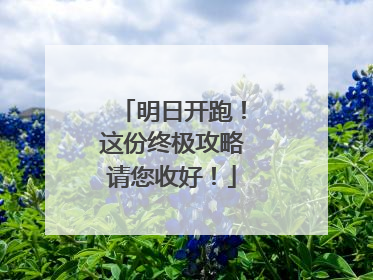 明日开跑！这份终极攻略请您收好！