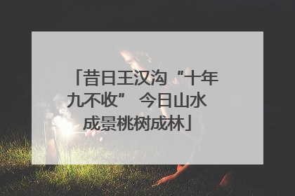 昔日王汉沟“十年九不收” 今日山水成景桃树成林
