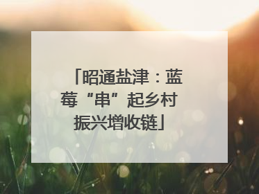 昭通盐津：蓝莓“串”起乡村振兴增收链