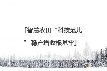 智慧农田“科技范儿” 稳产增收根基牢