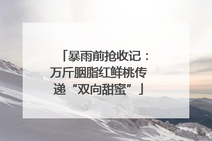 暴雨前抢收记：万斤胭脂红鲜桃传递“双向甜蜜”