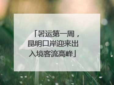 暑运第一周，昆明口岸迎来出入境客流高峰