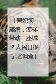 曹妃甸一座港，怎样带动一座城？人民日报记者调查