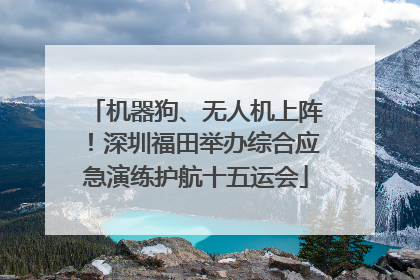 机器狗、无人机上阵！深圳福田举办综合应急演练护航十五运会