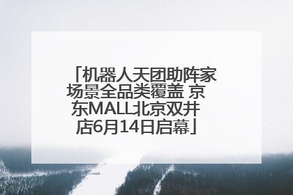 机器人天团助阵家场景全品类覆盖 京东MALL北京双井店6月14日启幕