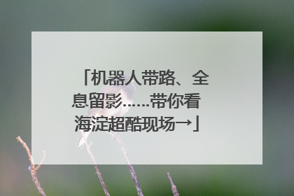 机器人带路、全息留影……带你看海淀超酷现场→