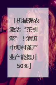 机械强农激活“茶引擎”！清镇中坝村茶产业产能提升50%