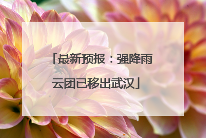 最新预报：强降雨云团已移出武汉